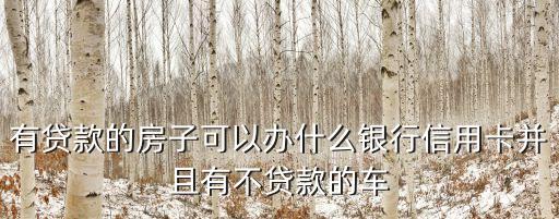 有贷款的房子可以办什么银行信用卡并且有不贷款的车