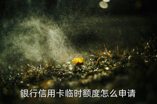 银行信用卡临时额度怎么申请