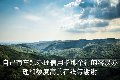 有车 用什么信用卡，我有房子和车可以办理什么样的可透支信用卡吗