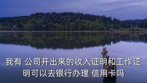 我有 公司开出来的收入证明和工作证明可以去银行办理 信用卡吗