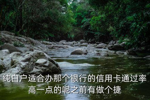 纯白户适合办那个银行的信用卡通过率高一点的呢之前有做个捷