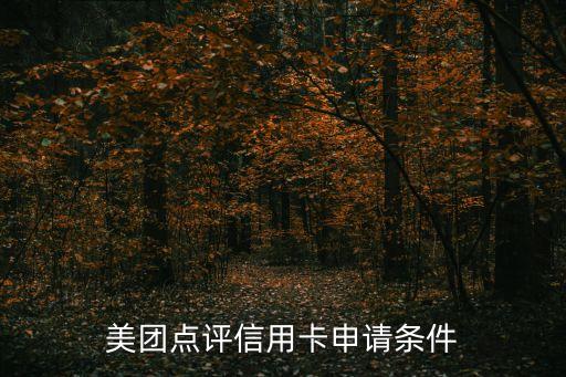 白户在美团可以申请信用卡吗,向美团借款的白户可以申请吗