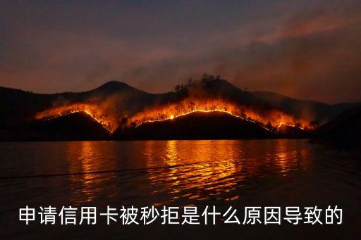 申请信用卡被秒拒是什么原因导致的