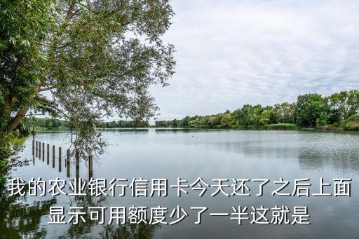 我的农业银行信用卡今天还了之后上面显示可用额度少了一半这就是