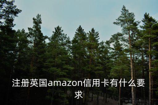 亚马逊信用卡要什么，如何办理可用于支付美国亚马逊AMAZON会员费用及货款的双币国际