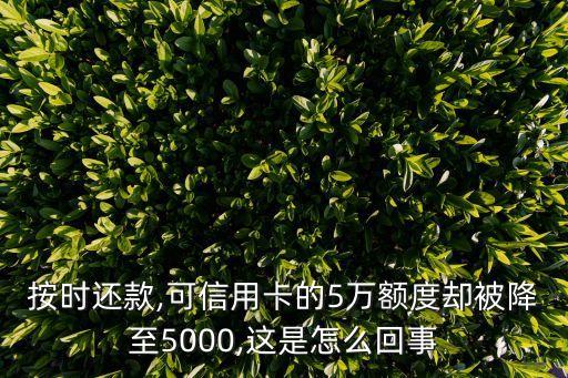 按时还款,可信用卡的5万额度却被降至5000,这是怎么回事