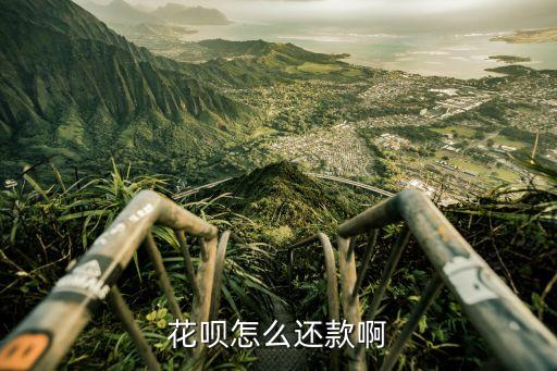 花呗怎么还款啊
