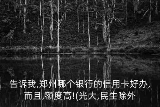 告诉我,郑州哪个银行的信用卡好办,而且,额度高!(光大,民生除外