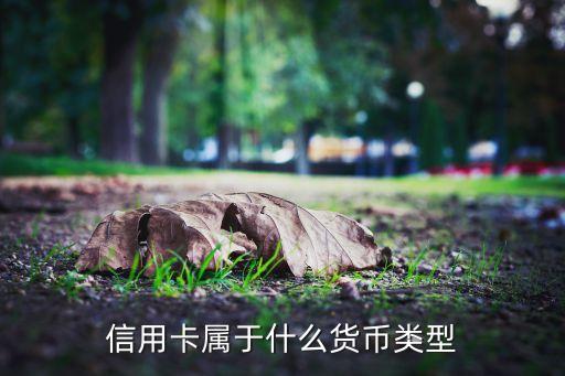 信用卡属于什么货币类型