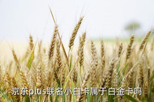 浦发银行信用卡京东额度,JD.COM一般信用卡额度是多少