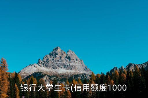 银行大学生卡(信用额度1000