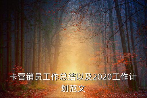 卡营销员工作总结以及2020工作计划范文