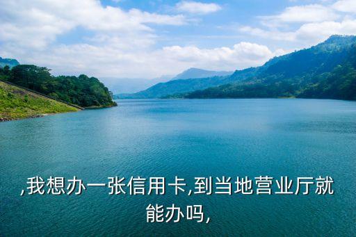 ,我想办一张信用卡,到当地营业厅就能办吗,