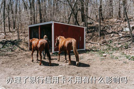 办信用卡不用有什么风险吗，我办了一张信用卡我不用会有什么后果