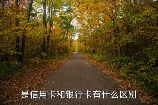 是信用卡和银行卡有什么区别