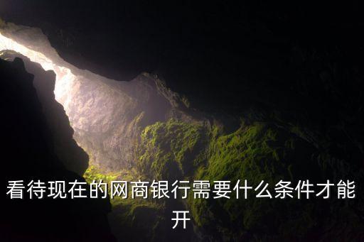 看待现在的网商银行需要什么条件才能开