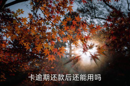 卡逾期还款后还能用吗