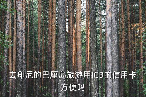 去印尼的巴厘岛旅游用JCB的信用卡方便吗
