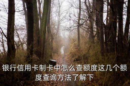 浦发信用卡秒批怎么查额度,如何查询浦发信用卡申请进度