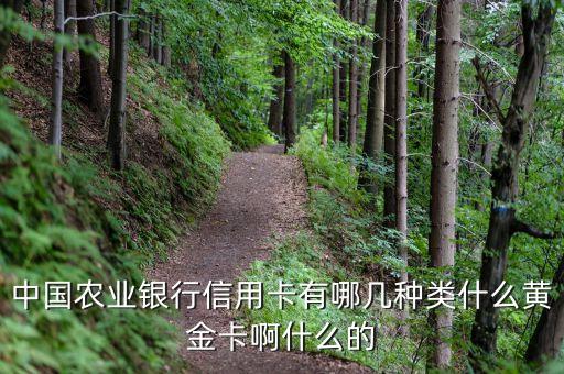 农行信用卡什么样的，农业银行信用卡什么样子
