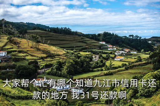 大家帮个忙有哪个知道九江市信用卡还款的地方 我31号还款啊