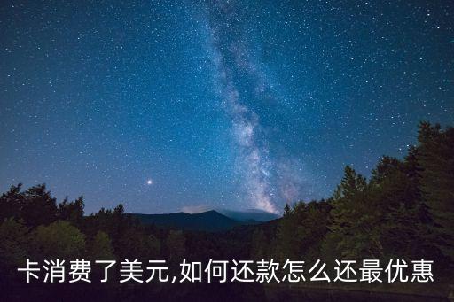 卡消费了美元,如何还款怎么还最优惠