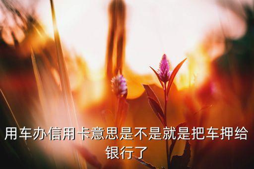 用车办信用卡意思是不是就是把车押给银行了