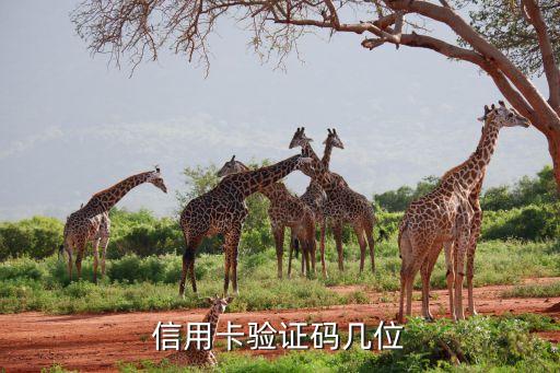 信用卡验证码几位