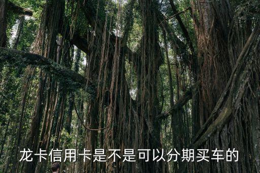 龙卡信用卡是不是可以分期买车的