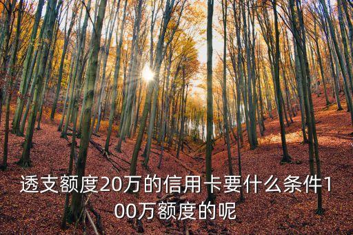 透支额度20万的信用卡要什么条件100万额度的呢