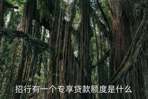 招行有一个专享贷款额度是什么