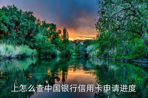 中行银行信用卡进度查询,中原银行信用卡进度查询中心