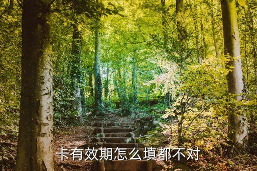 卡有效期怎么填都不对
