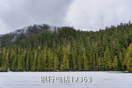 银行电话12363