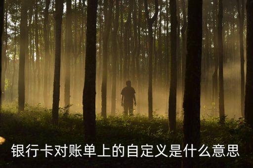 银行卡对账单上的自定义是什么意思