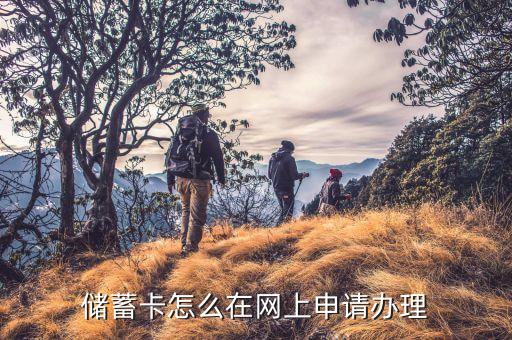 储蓄卡怎么在网上申请办理