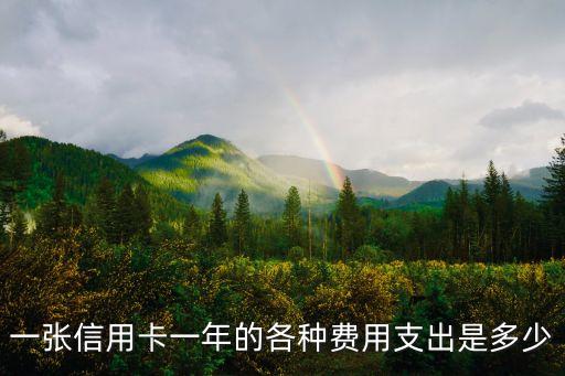 一张信用卡一年的各种费用支出是多少