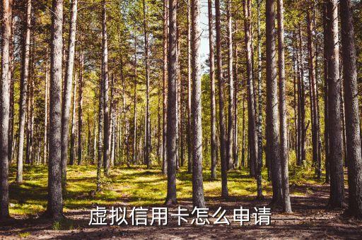 虚拟信用卡怎么申请