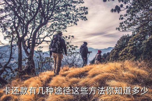 目前信用卡还款方式有哪些,信用卡有哪些还款方式