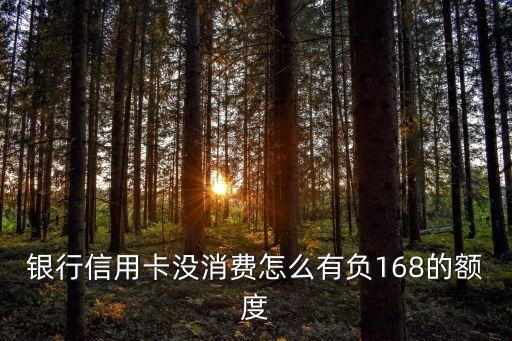 银行信用卡没消费怎么有负168的额度