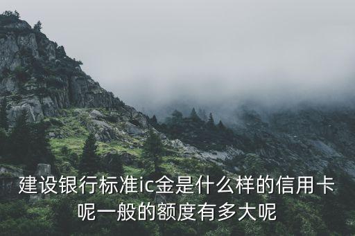 建设银行标准ic金是什么样的信用卡呢一般的额度有多大呢