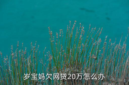 岁宝妈欠网贷20万怎么办