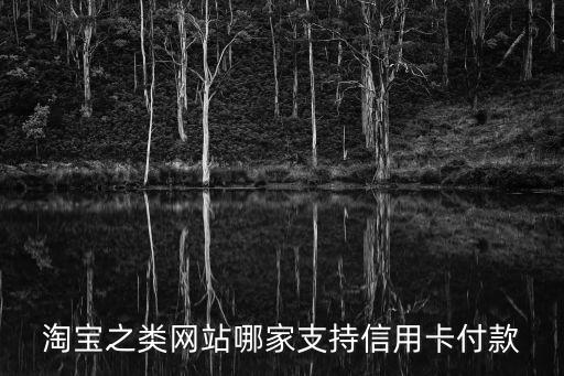 淘宝之类网站哪家支持信用卡付款