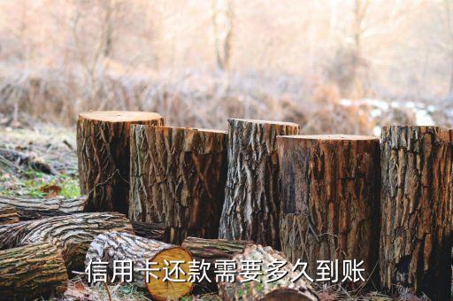 银行卡转账信用卡还款多久到账呢,把钱转到信用卡还款需要多长时间