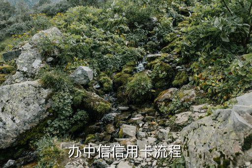办中信信用卡流程