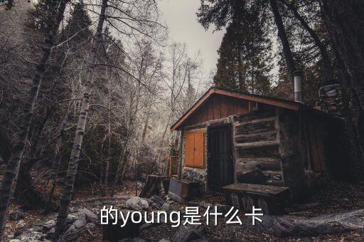 的young是什么卡