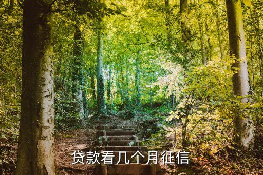 贷款看几个月征信