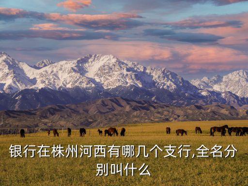 银行在株州河西有哪几个支行,全名分别叫什么