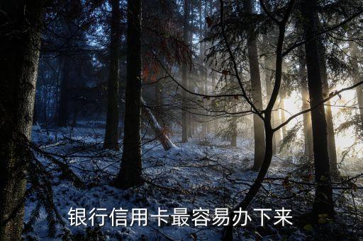 银行信用卡最容易办下来