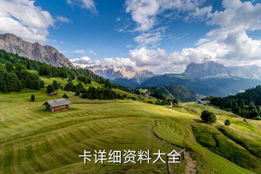 卡详细资料大全